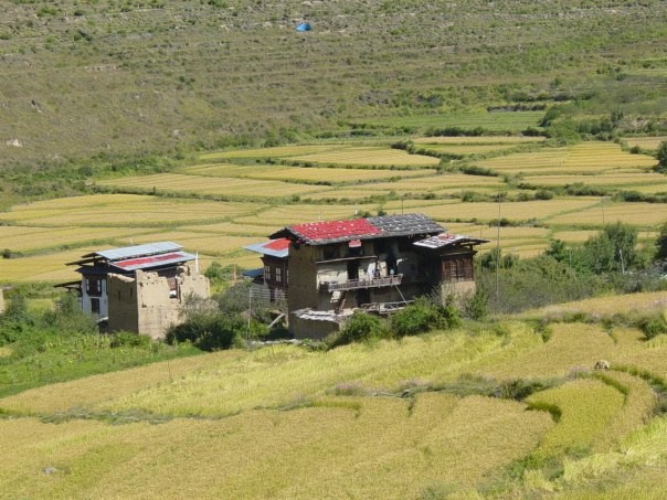 Bhutan Domy rolników w Dolinie Thimphu Bhutan Domy rolników w Dolinie Thimphu